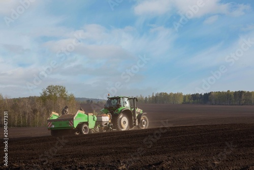 A tractor plants potatoes in a field. Agricultural work, farming.