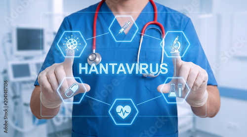 Doctor in blue scrubs touching digital hantavirus medical interface with hexagonal icons including virus microscope and syringe