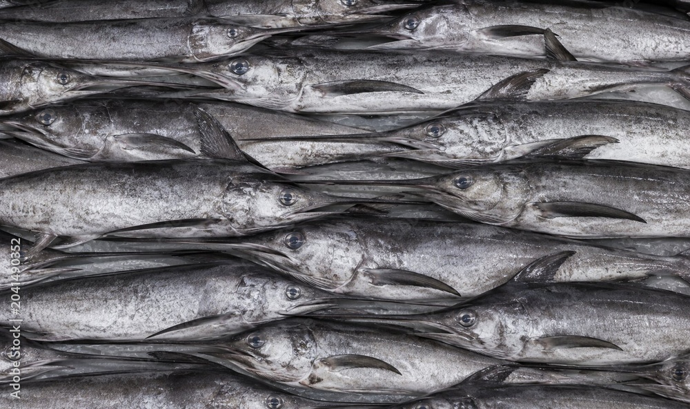 Fototapeta premium Swordfish Fish Background. Fish Background. Generative Ai