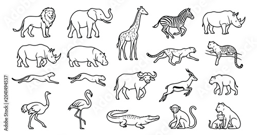 Photography African safari animals line art collection, set of 19 wild animal vector icons,