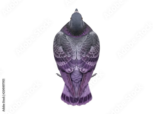 Isolated purple and gray bird head cutout with detailed feathers and beak on transparent background
