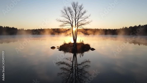 Lone bare tree on small island in misty lake at sunrise with reflection