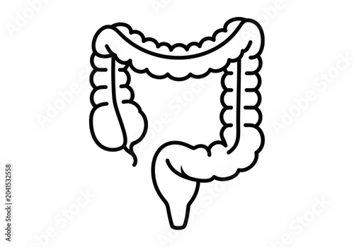 Anatomical outline of the human large intestine, white line on a dark background, representing medical education, biology, and health science isolated on a transparent background