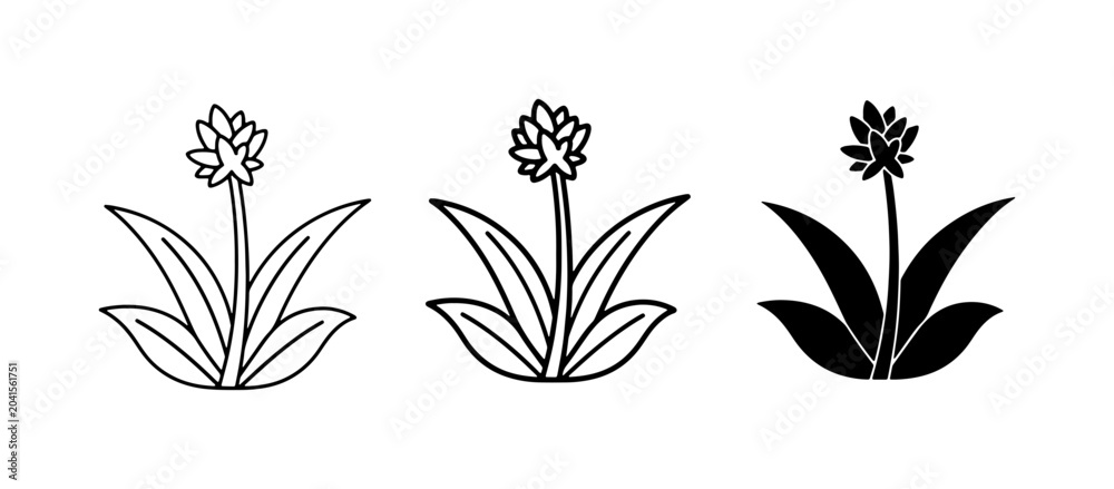 Fototapeta premium Lavender Plant Icons, Line Art and Silhouette Vector Graphics