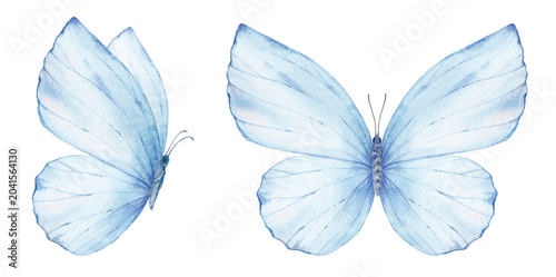 Blue Butterflies Watercolor set illustration. Excellent for wedding design, s...