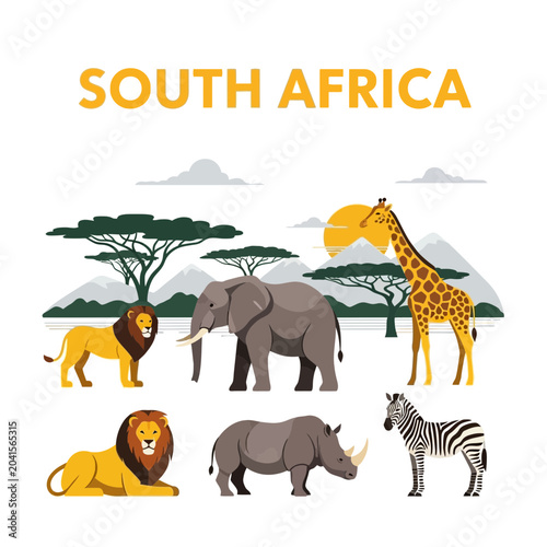 Photography South Africa Wildlife Safari Animals Flat Design