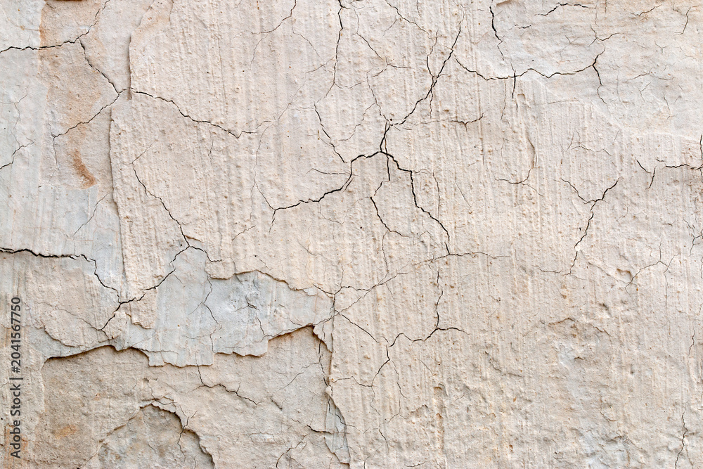 Fototapeta premium Light Gray Stucco Wall Texture. Abstract Background