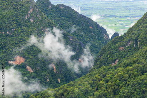 Landscape of Morning Mist with Mountain Layer. mountain ridge and clouds in rural jungle bush forest