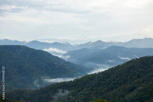 Landscape of Morning Mist with Mountain Layer. mountain ridge and clouds in rural jungle bush forest