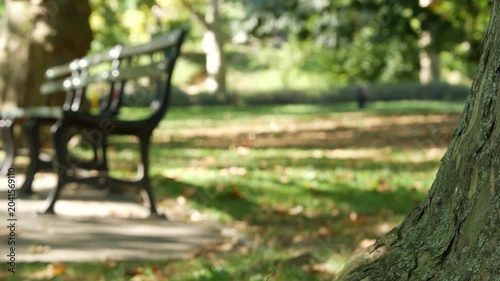 Wooden bench in Central Park of New York City, United States. Green oasis in Manhattan, USA. Defocused greenery. Shadow in public park on summer or fall day
