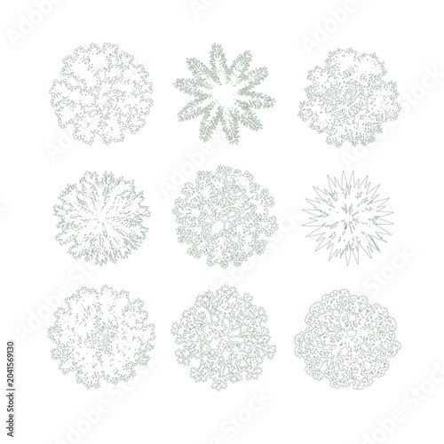 Fotografie Nine Varied Top View Tree Symbols with Spiky and Round Canopies — CAD Plan View