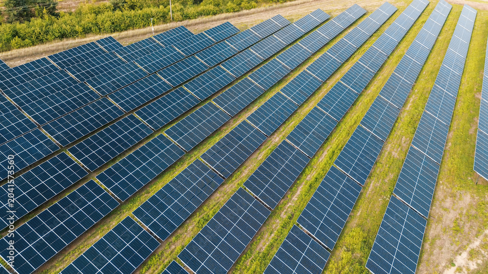 Obraz premium Sustainable solar farm providing zero emission power