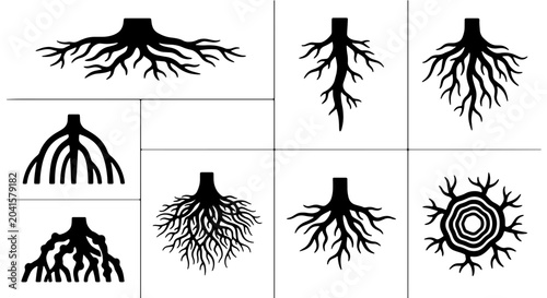 Schilderij op canvas Diverse Tree Root System Vector Icons, Organic Growth Patterns, Natural Foundati