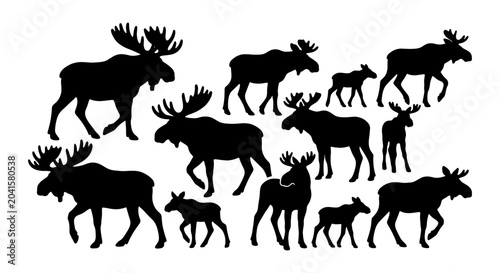Photos Silhouette Moose Herd Vector Collection, Wildlife Animal Silhouettes, Forest Fau