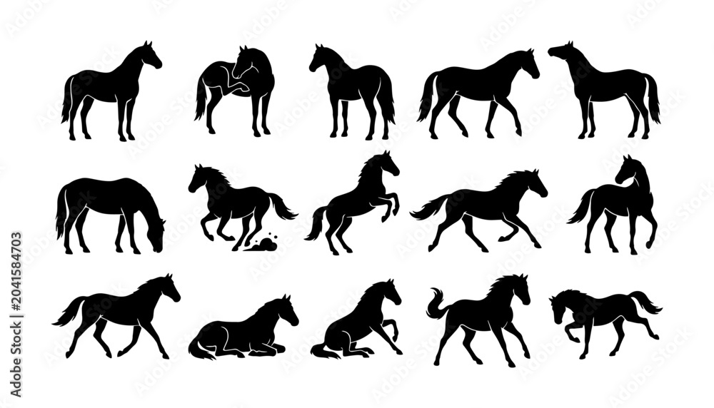 Obraz premium Collection of various horse silhouettes