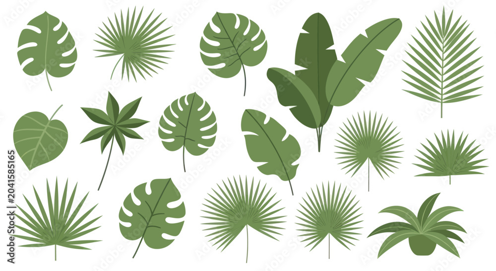 Fototapeta premium Collection of various green tropical plant leaves and foliage.