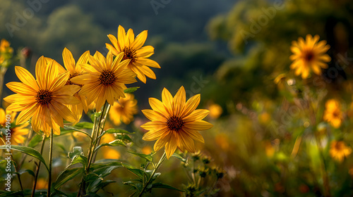Sunflowers swaying in a field during golden hour, nature scene. gardening catalogs, home-decor guides, designed for home decor and floral branding and gardening and botanical catalogs.adulteration.