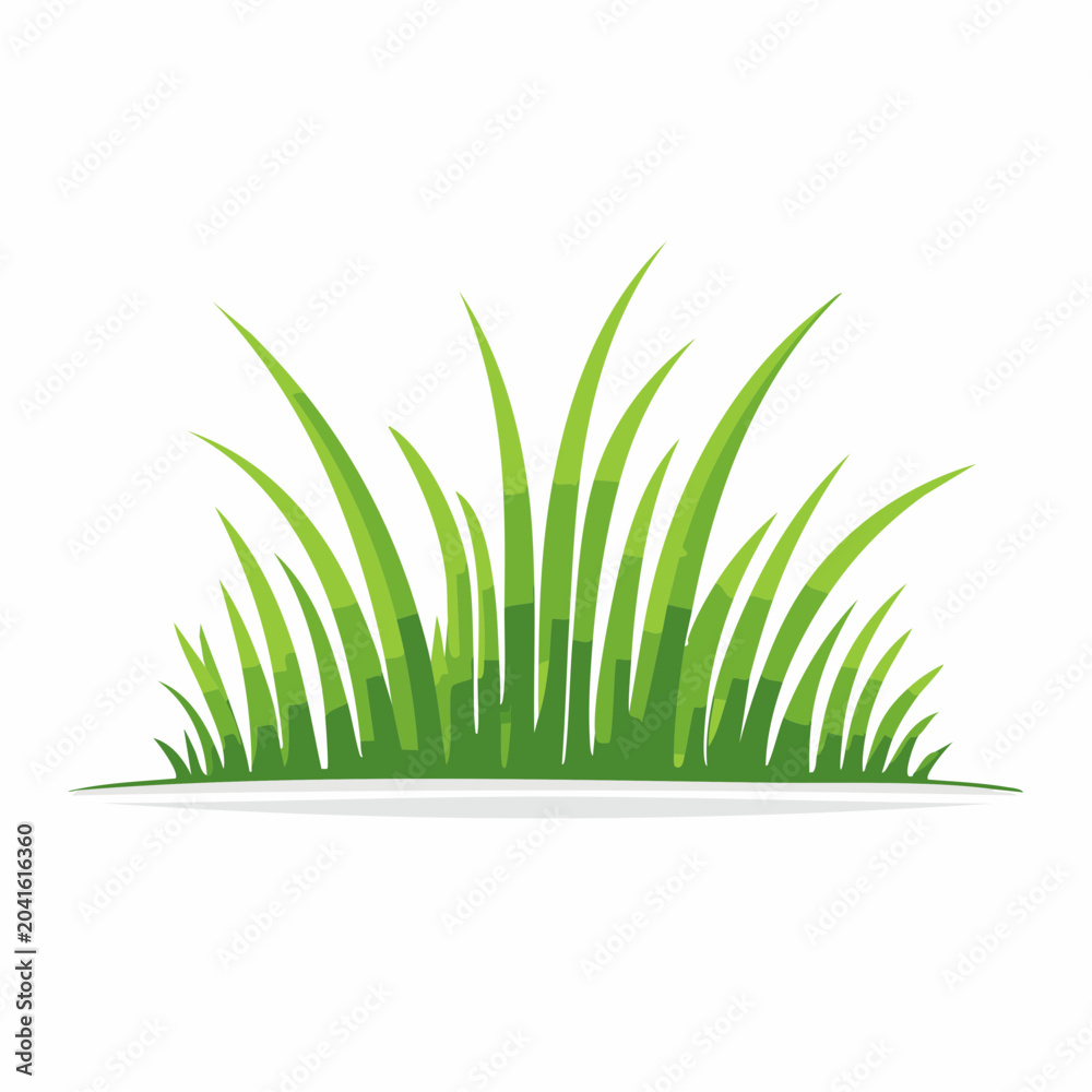 Fototapeta premium Green Grass Illustration