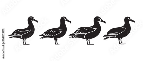 Bild auf Leinwand Four black albatross birds standing in a row in a simple graphic illustration style