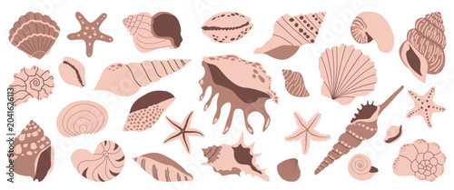 Large collection of minimalist hand drawn seashells and starfishes in earthy boho colors for summer wedding invitations, organic skincare packaging and coastal home decor