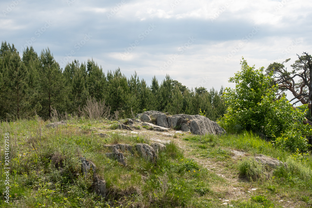 Fototapeta premium Rocky outcrop with pine forest and cloudy sky