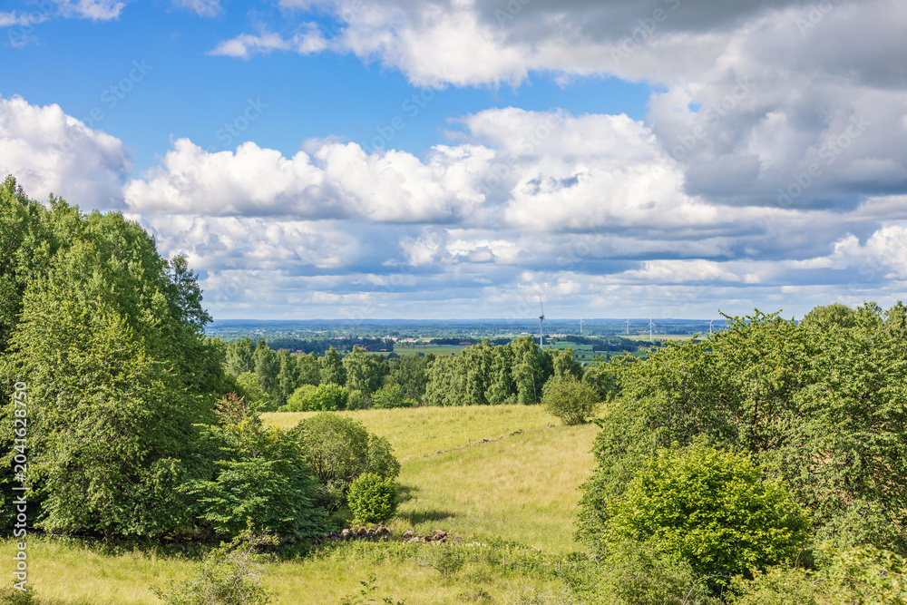 Obraz premium View at a meadow with lush green trees