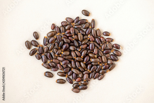 Cuadro en lienzo Pile of glossy, dark brown sugar apple seeds isolated on a clean white surface