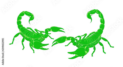 Tableau sur toile Green Scorpions Facing Each Other.