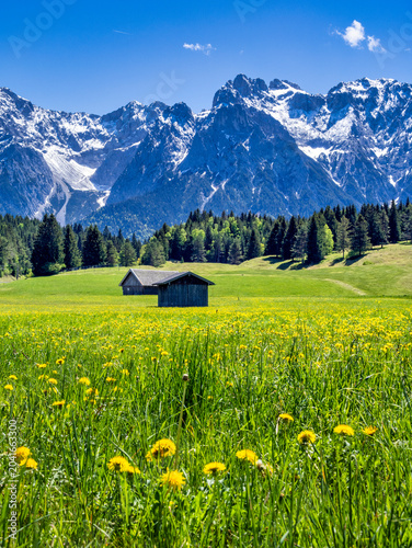 Landschaft mit Wiesen und Karwendelgebirge bei Mittenwald, Frühling, Werdenfelser Land, Oberbayern, Bayern, Deutschland