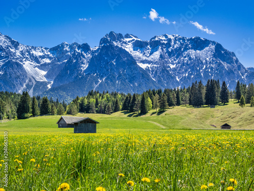 Landschaft mit Wiesen und Karwendelgebirge bei Mittenwald, Frühling, Werdenfelser Land, Oberbayern, Bayern, Deutschland