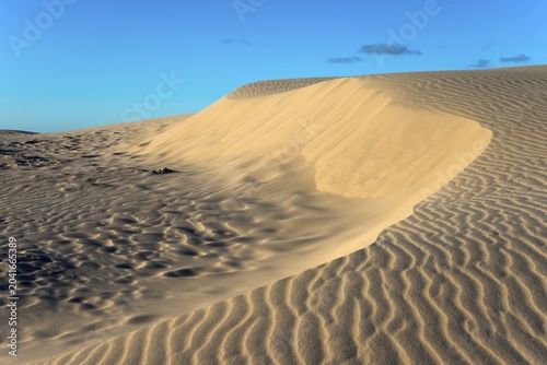 Travelling dune, Rabjerg Mile, Råbjerg Mile, landscape conservation area, Skagens Odde, Jutland, Denmark