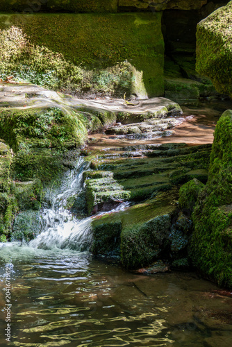 A small, glistening waterfall tumbles over mossy, step-like rock formations into a calm pool of water, framed by towering green stone walls within a shaded forest gorge.
