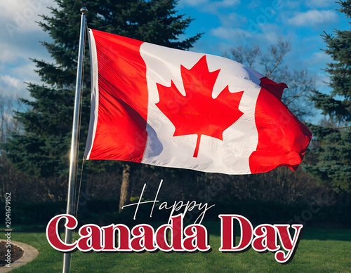 Festive canada day greeting with maple leaves and bold typography
