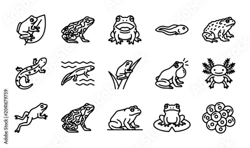 Canvastavla Amphibian Life Cycle Icons: Frogs, Tadpoles, Salamanders, Axolotl, Eggs, Nature