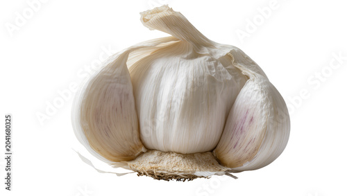 Whole garlic bulb with papery skin and visible cloves