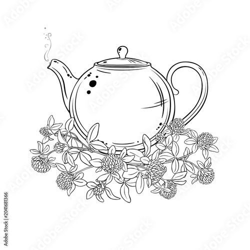 Clover Tea in Teapot aroma beverage Outline Illustration. Vector isolated for Design and Decoration for Cafeteria, Posters, Banners, Cards.