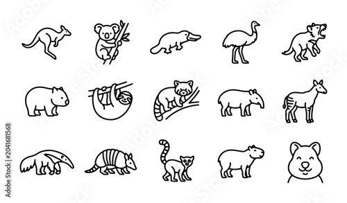 Foto Australian Animals Icons Set, Kangaroo, Koala, Wombat Vector Graphics, Wildlife