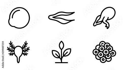 Cuadro en lienzo Organic Growth Icons, Plant Seedling, Sprouts, Botanical Elements, Simple Line A