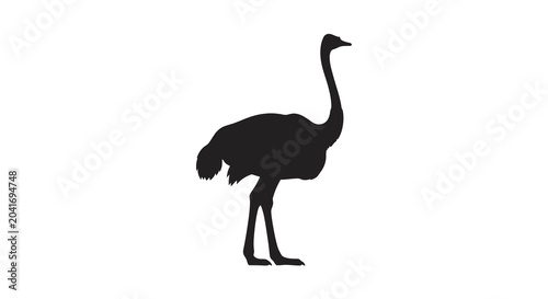 Tableau sur toile ostrich silhouette on white background bird animal