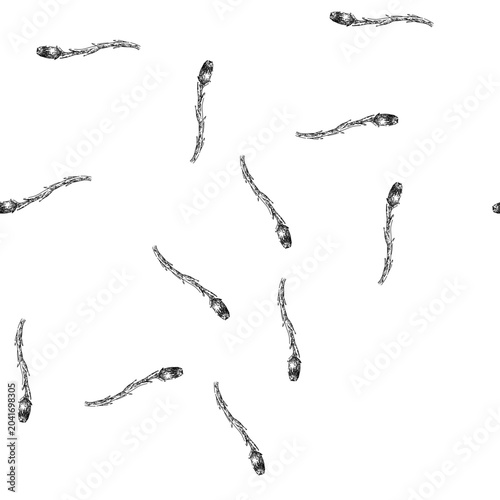 Bild auf Leinwand seamless pattern honey coltsfoot hand drawn