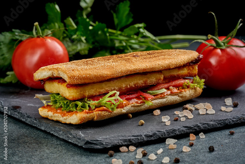 Gourmet vegan sandwich with plant-based kebab, sauce and fresh lettuce on black slate board, side view of delicious meatless submarine sandwich or panini on dark background, eco buffet1628.jpg