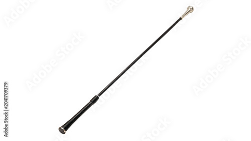 Tableau sur toile Thin long black pointer stick equestrian whip or dressage crop isolated on trans