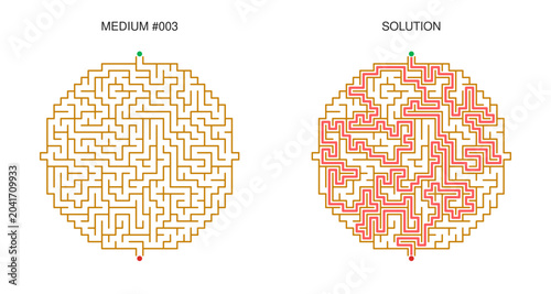 Quadro em tela Circular Maze Puzzle Collection with Solutions