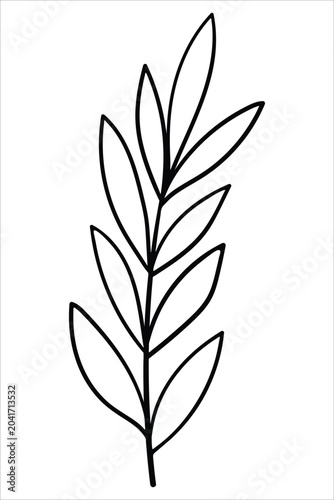 Minimalist linear drawing of a straight botanical branch with lanceolate leaves.