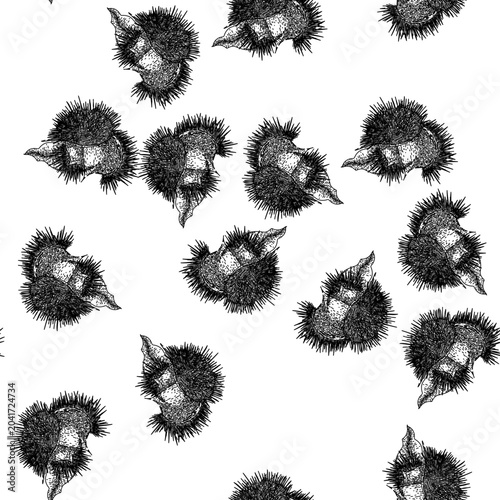 Photos seamless pattern food chestnut hand drawn