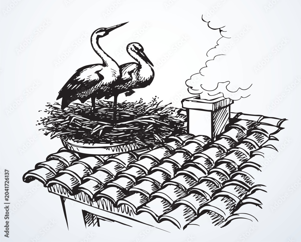 Fototapeta premium Vector drawing. Storks in a nest on the roof