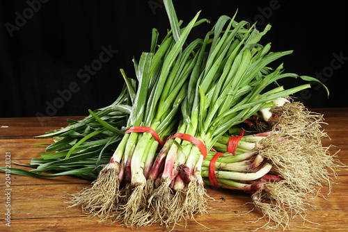 Fresh Spring Onions with Roots Bundled from Guizhou Farm - Organic Vegetable Harvest