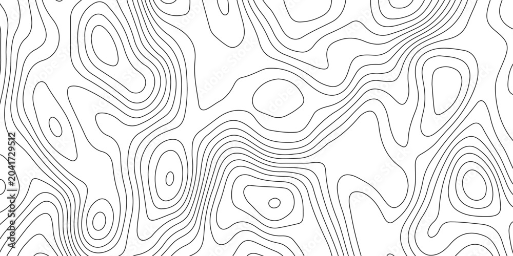 Fototapeta premium Minimalist abstract topographic contour lines, flowing organic curves, monochrome line art, clean seamless pattern, modern map-inspired design, white background.