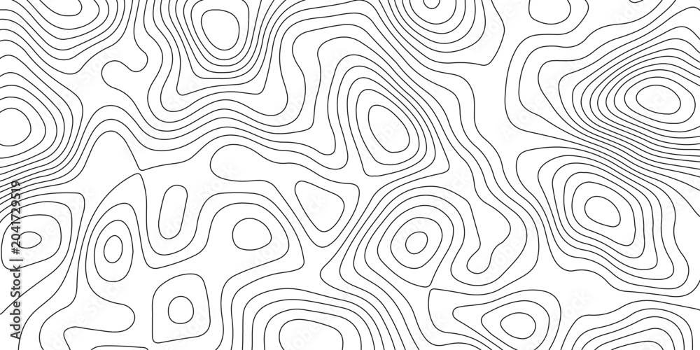 Fototapeta premium Minimalist abstract topographic contour lines, flowing organic curves, monochrome line art, clean seamless pattern, modern map-inspired design, white background.