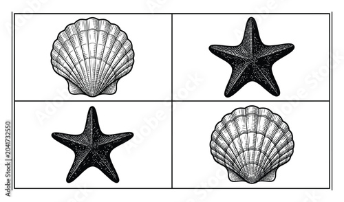Fotografija Vintage style black and white of sea shells and starfish arranged in a grid patt